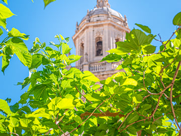 Jaen Highlights private tour