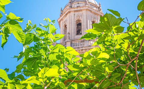 Jaen Highlights private tour