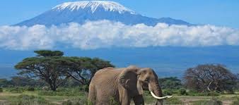 5 Days Maasai Mara,Lake Nakuru And Lake Naivasha