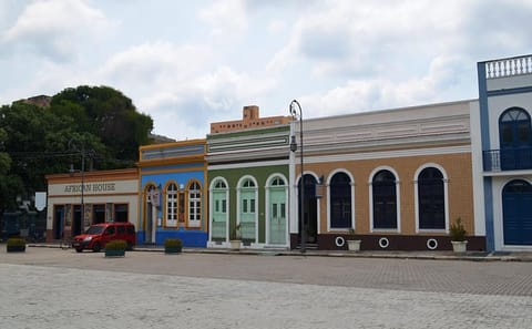 Manaus City Tour: Explore Culture and Cuisine in Brazil