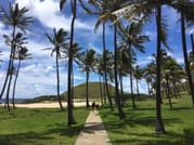 2 Half Days & 1 Full Day Private Tours 7