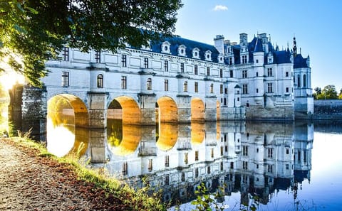 VIP Day Tour of Chambord, Chenonceaux, and Amboise from Paris