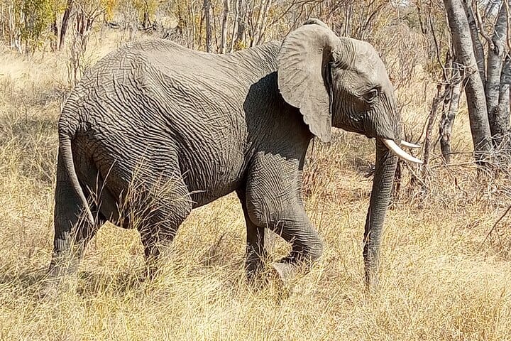 15 minutes scenic helicopter flight above Victoria Falls-Zimbabwe