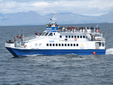 Whale Watching from Akureyri, photo 2