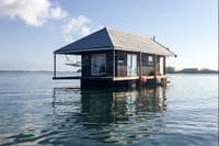 Key West Dolphin Watching and Snorkeling with Beer and Wine from Miami 3
