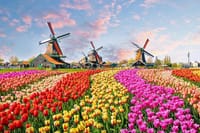 From Amsterdam: Private Tour to Zaanse Schans, Volendam & Marken 2