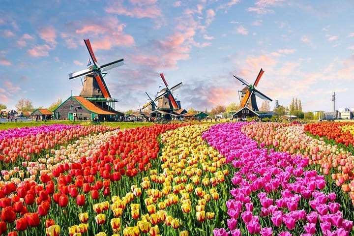 From Amsterdam: Private Tour to Zaanse Schans, Volendam & Marken 2