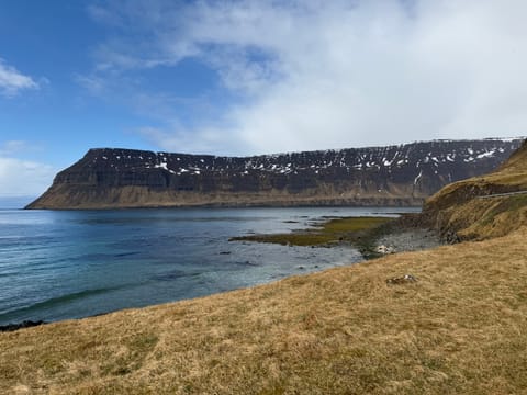 Isafjordur and Westfjords Private Tour, photo 3