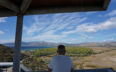 Private Day Tour of Marathon and Thermopylae from Athens