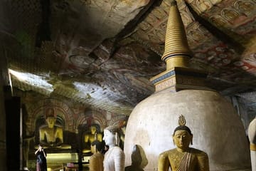 Sigiriya Rock Fortress and Dambulla Temple Tour from Trincomalee