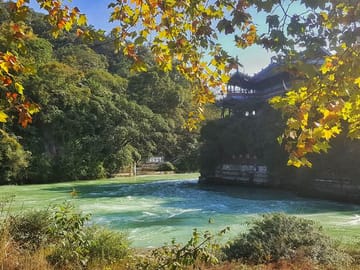 Chengdu Dujiangyan Leshan Buddha Tea Plantation and Sichuan Cooking 3 Days