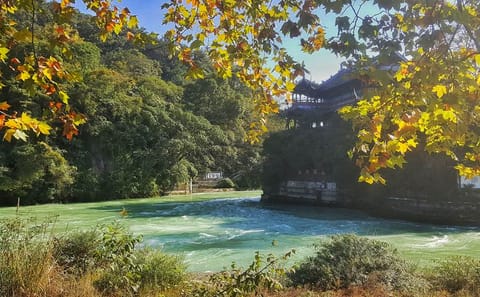 Chengdu Dujiangyan Leshan Buddha Tea Plantation and Sichuan Cooking 3 Days