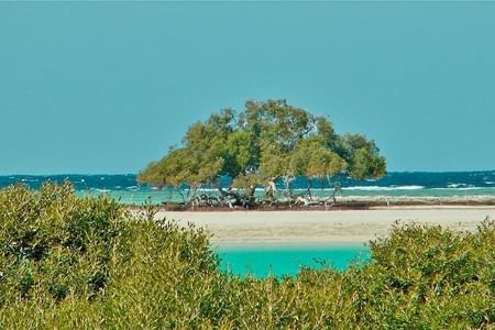 A week in Marsa Alam Egypt