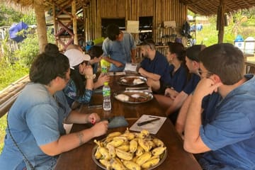 Full-Day Elephant Sanctuary and Pad Thai Cooking in Chiang Mai