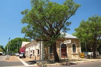 Darwin Self-Guided Audio Tour 5