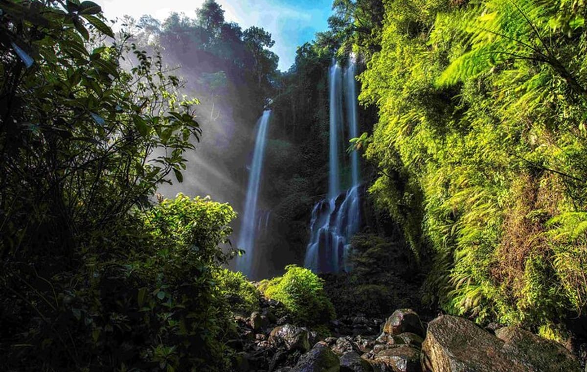 Munduk Sekumpul and Banyuwana Waterfall Trekking Tour