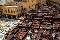 Traditional tanning plants in Fez (Chouara), famous for their dyeing ponds and ancestral leather craftsmanship, in the heart of the UNESCO World Heritage Medina of Fez.