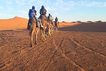 Camel Ride and Sunset Experience in Merzouga Desert from Errachidia