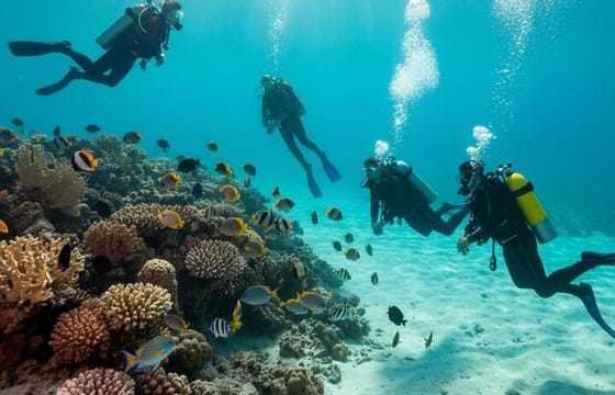 Snorkeling and Diving to Ras Mohamed And White Island by VIP Boat