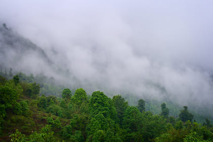 6-Day Family Trek to Panoramic Panchase