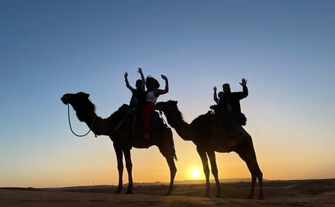 8-Day Cultural Tour from Tangier to Marrakech via Merzouga
