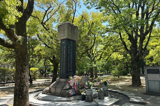 Hiroshima History and Evening Walk photo 3