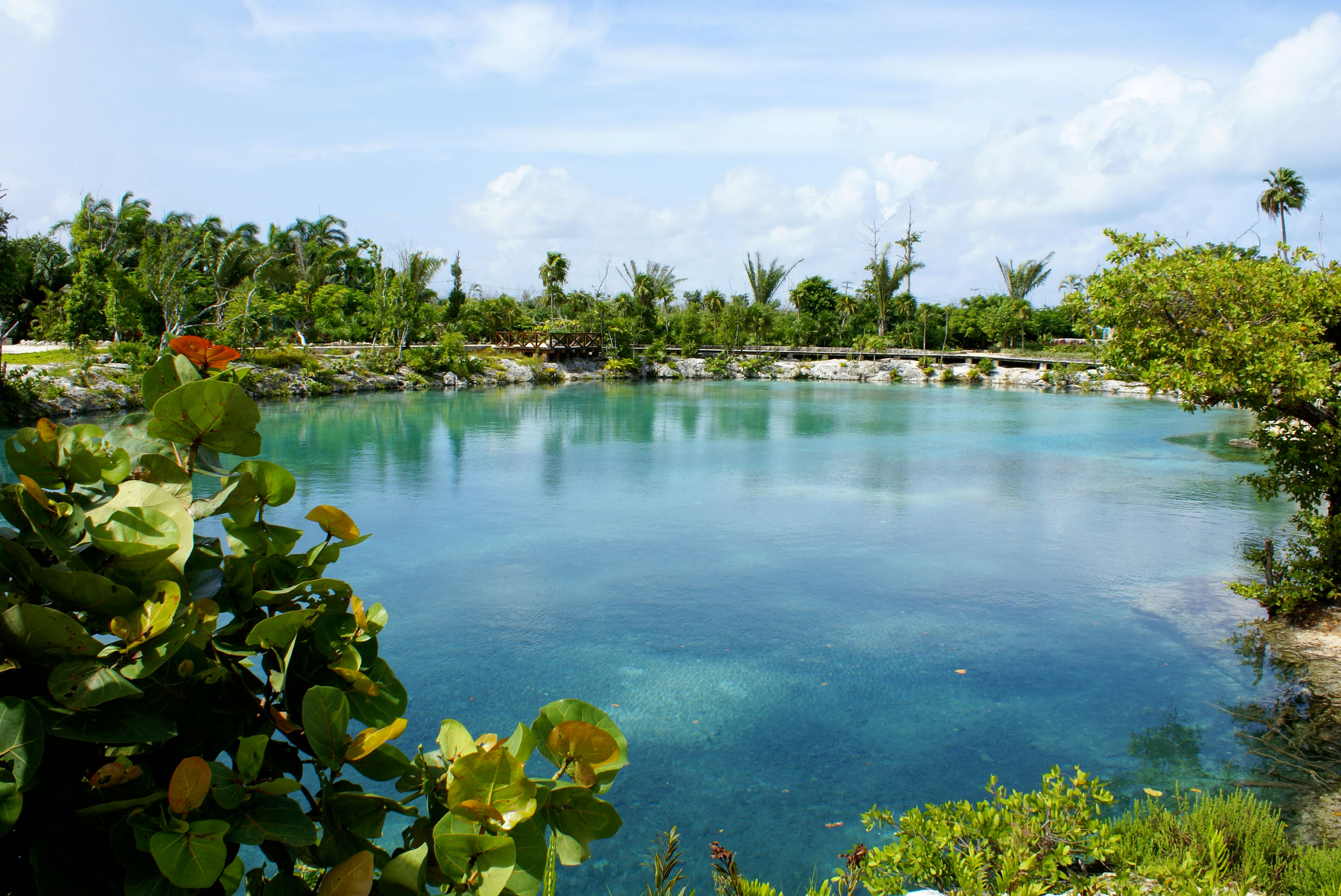 Dolphin Encounter + Parque Chankanaab + Buffet Lunch At Cozumel