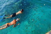 La Romana: Tour Isla Catalina con Snorkel y Playas 9