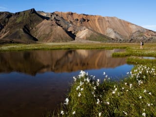 Laugavegur Trek with glacier hike - 7 Day (Huts), photo 20