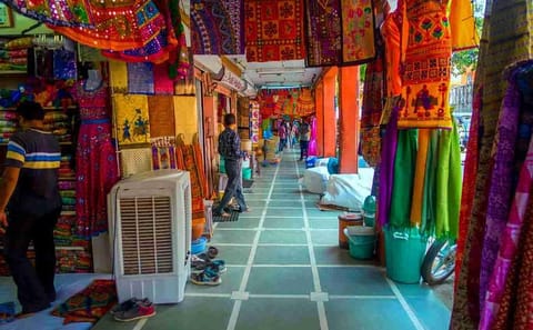Full Day Jaipur Sightseeing Tour with Private Guide and Vehicle