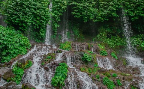 Explore Benang Kelambu Waterfalls on Lombok Island Tour