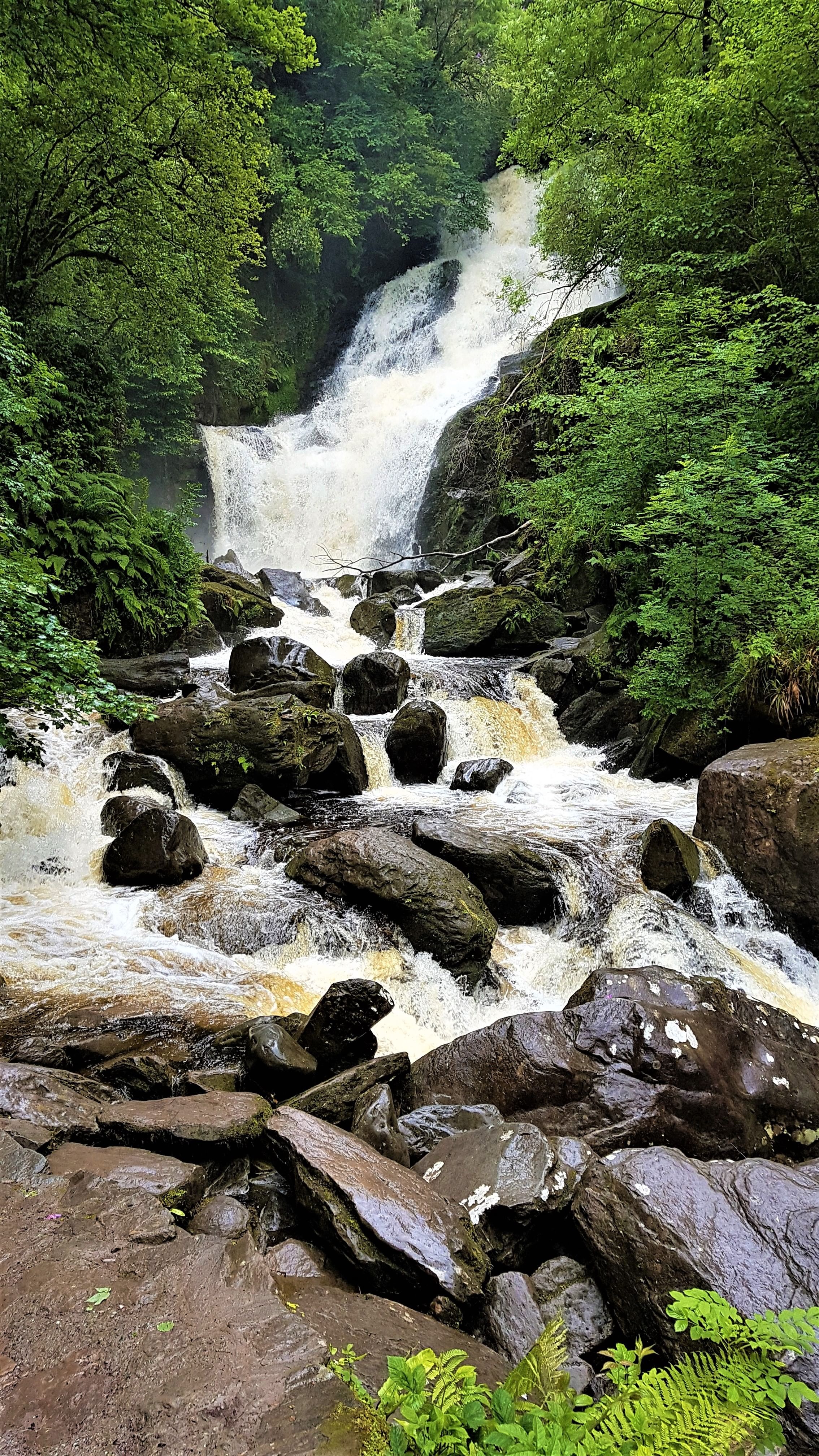 Torc waterfall & mountain hike. Kerry. Private guided.