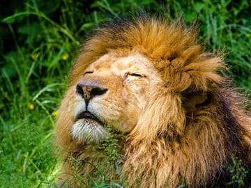 Krakow Zoo with Hotel Transfer