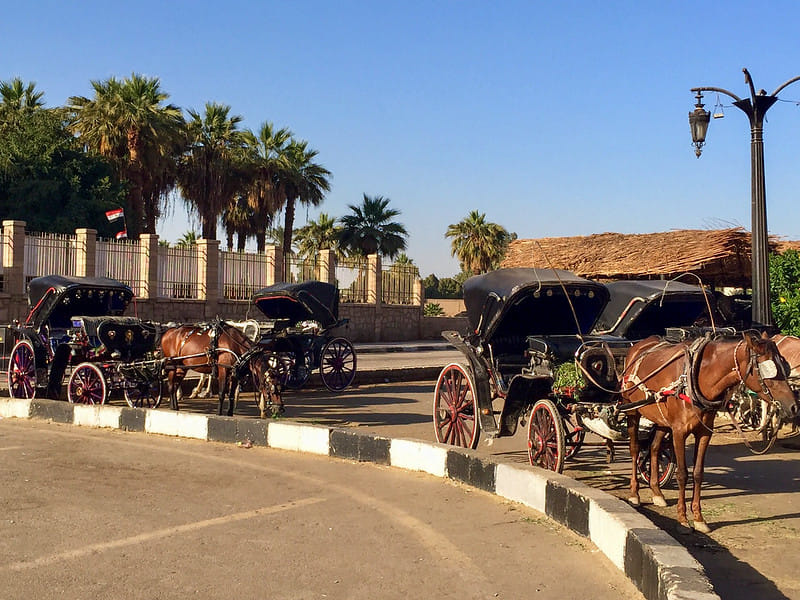 City Tour by Horse Carriage – Hantour