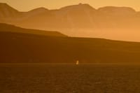 Akureyri Classic Whales in the Midnight Sun 8