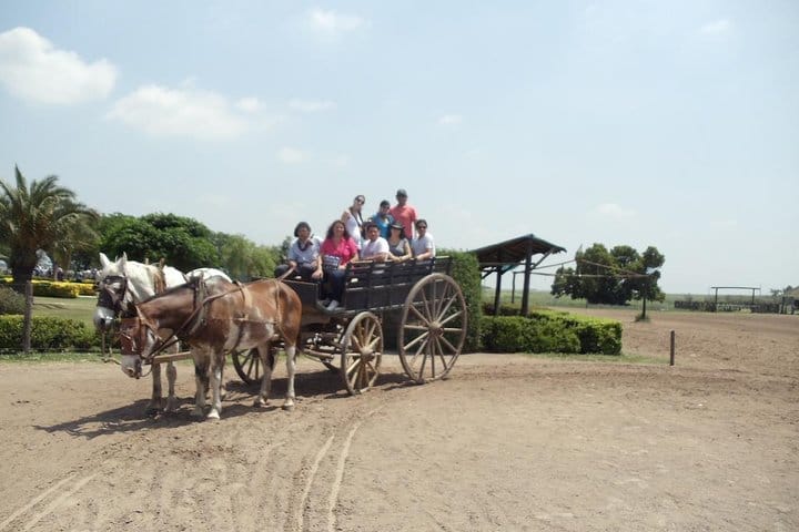 Tour in a traditional carruage