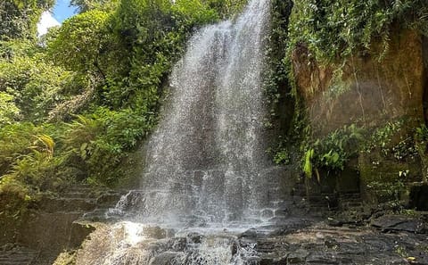 Bali Cultural Experience and Hidden Waterfalls Tour