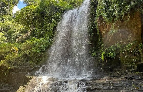 Bali Culture and Hidden waterfall Tour