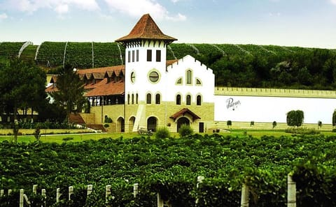 Cultural and Wine Tour at Château Purcari in Moldova