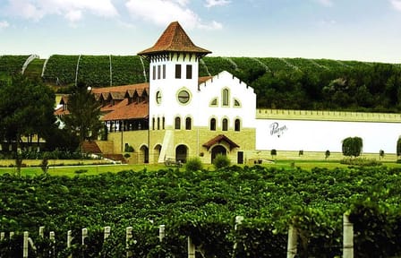 Cultural and Wine Tour at Château Purcari in Moldova