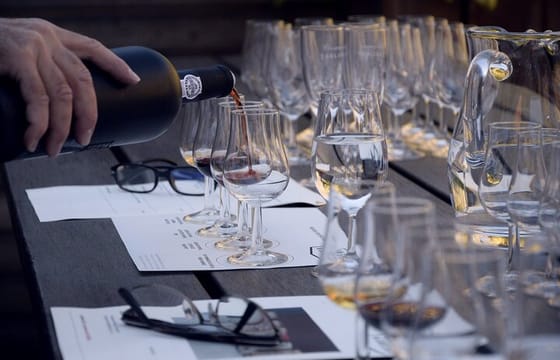 Small group Argentinian Wines and Malbec Tasting & Urban Art Tour