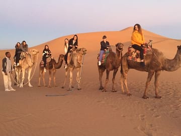 tinfou desert trik
