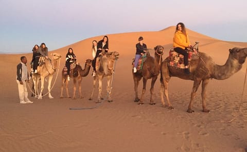 Private 2-Day Desert Tour from Marrakech to Ait Ben Haddou