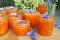 Jam