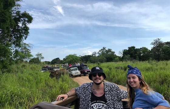 Minneriya Safari Tour from Habarana