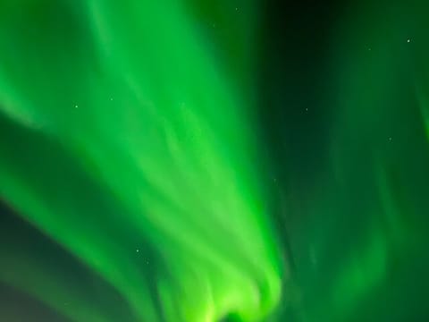 Iceland Reykjavik Northern Lights Bus Tour guided in Chinese冰岛雷市中文极光团, photo 4