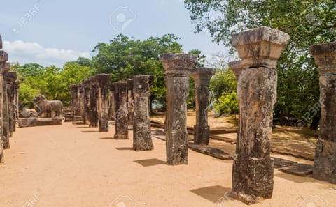Cultural and Adventure Tour in Katunayake, Sri Lanka