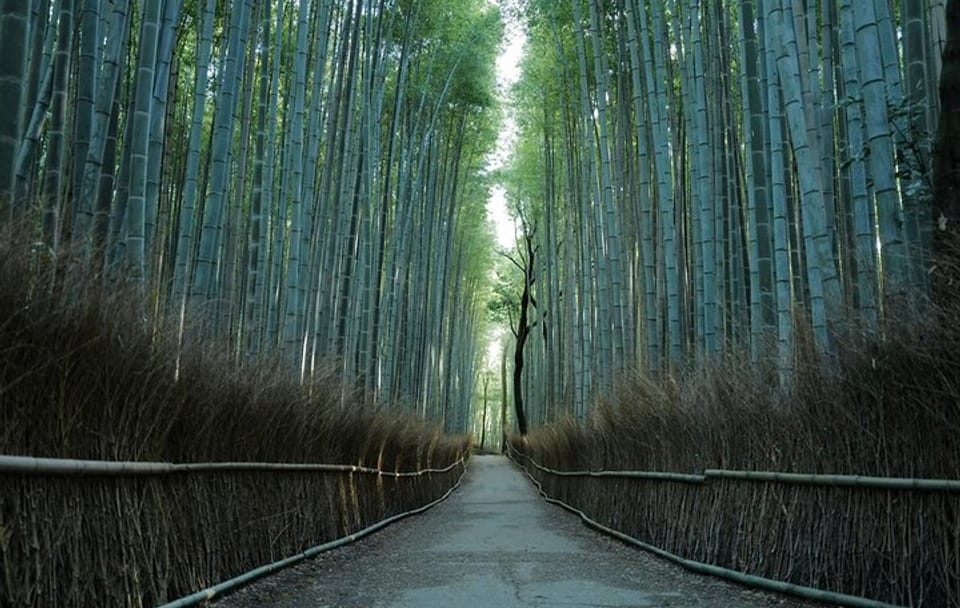 Kyoto Arashiyama Bamboo Forest Hiking Tour(Hidden Temples)