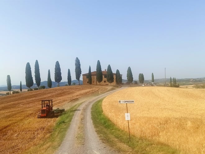 Val d'Orcia Region Private Wine Tasting Tour - Photo 3