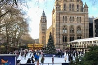 A Day at the Museum - Natural History Museum London 8